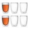 Bodum Pavina Double Walled 6pc Glass Set