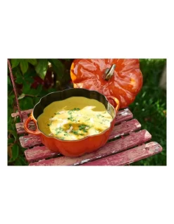 Staub Pumpkin Cast Iron Cocotte 24cm Cinnamon -Household Items Shop 470051110 2 720x928