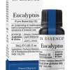 Eucalyptus Pure Essential Oil 8ml