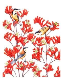 Maxwell & Williams Royal Botanic Gardens Victoria Garden Friends 50x70cm Tea Towel Spinebill Print