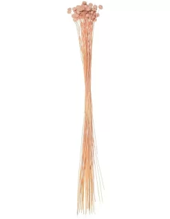 Rogue Preserved Button Chrysanthemum 50cm Pink