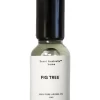 Fig Tree Oil 15ml -Household Items Shop 812344870 1 2 720x928