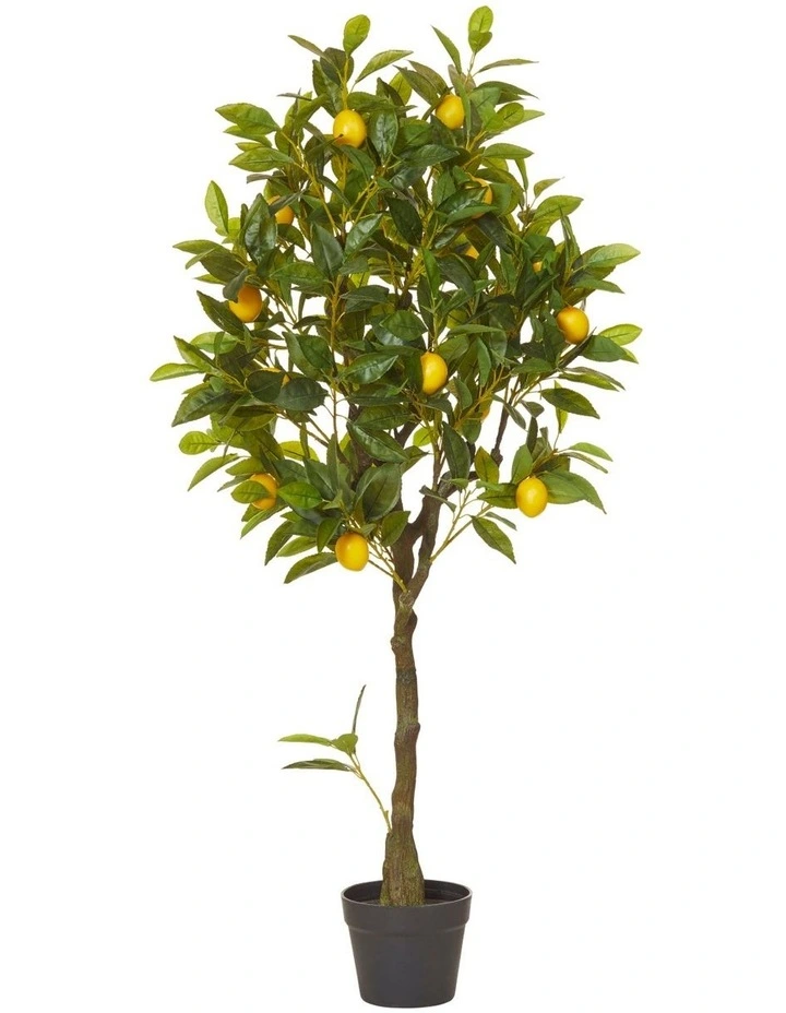 Rogue Lemon Artificial Tree 122cm 3 Rogue Lemon Artificial Tree 122cm