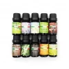 10 Pack Aroma Diffuser Oils Aromatherapy Fragrance 10ml Gift Pack