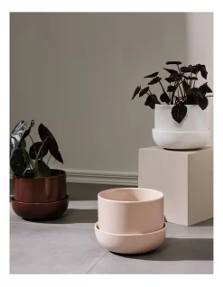 Iittala Nappula Plantpot 17cm Beige -Household Items Shop 861724090 3 720x928