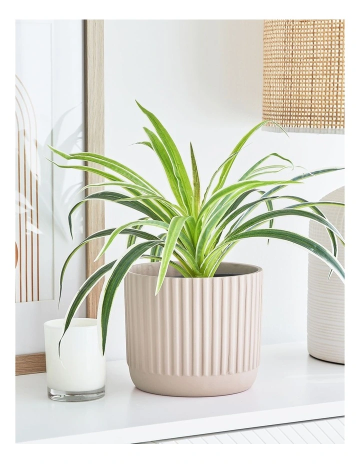 Dakota Ribbed Terracotta Planter Pot 14cm In Raffia 4 Dakota Ribbed Terracotta Planter Pot 14cm In Raffia - Image 2