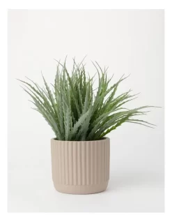 Dakota Ribbed Terracotta Planter Pot 14cm In Raffia 10 Dakota Ribbed Terracotta Planter Pot 14cm In Raffia -Household Items Shop 865790560 3 1 720x928