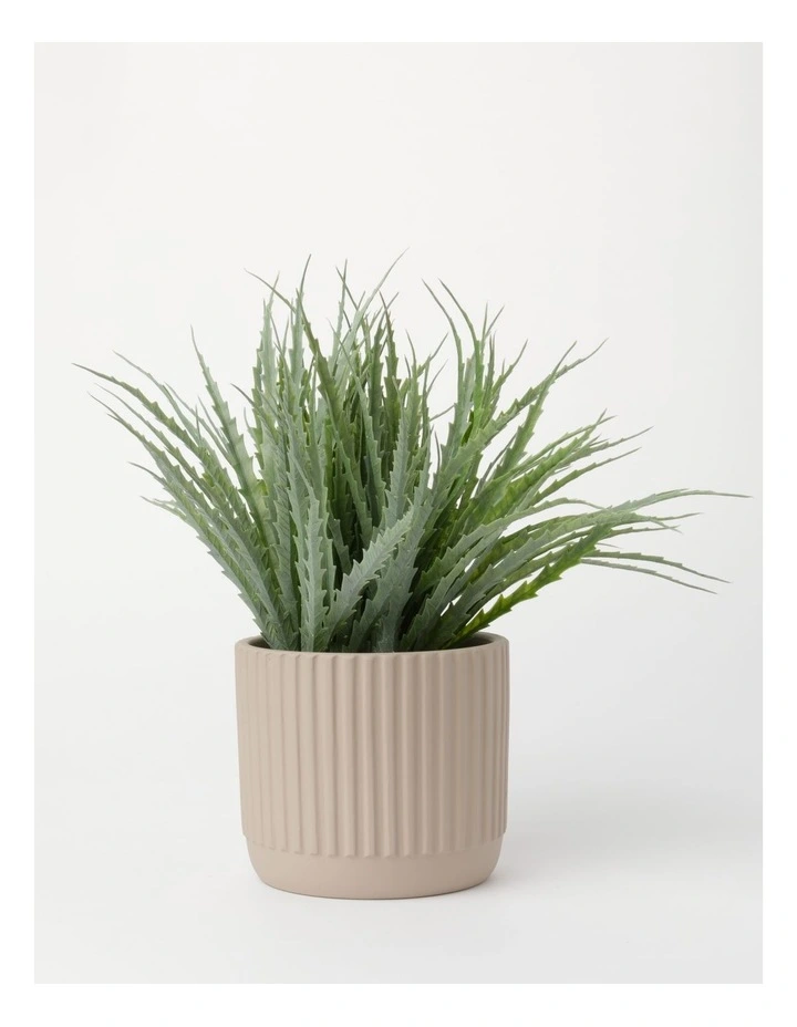 Dakota Ribbed Terracotta Planter Pot 14cm In Raffia 5 Dakota Ribbed Terracotta Planter Pot 14cm In Raffia - Image 3