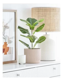 Dakota Ribbed Terracotta Planter Pot 14cm In Raffia 11 Dakota Ribbed Terracotta Planter Pot 14cm In Raffia -Household Items Shop 865790560 4 2 720x928