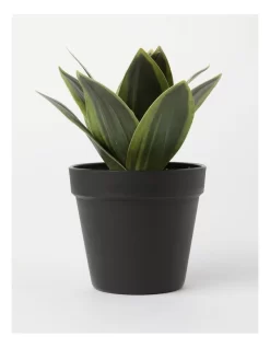 Agave Succulent Artificial Plant 19x19x22cm
