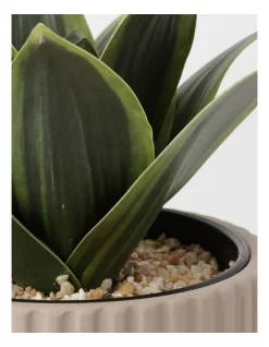 Agave Succulent Artificial Plant 19x19x22cm 7 Agave Succulent Artificial Plant 19x19x22cm -Household Items Shop 865791550 3 720x928