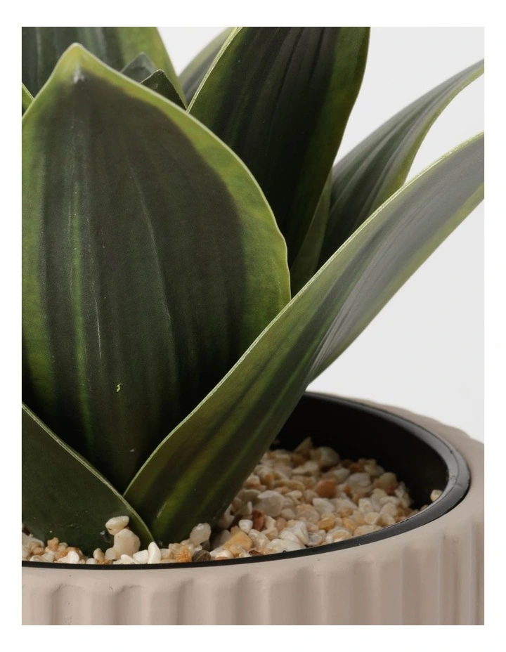 Agave Succulent Artificial Plant 19x19x22cm 5 Agave Succulent Artificial Plant 19x19x22cm - Image 3