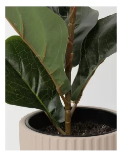 Medium Rubber Artificial Plant 65cm -Household Items Shop 865791910 3 720x928