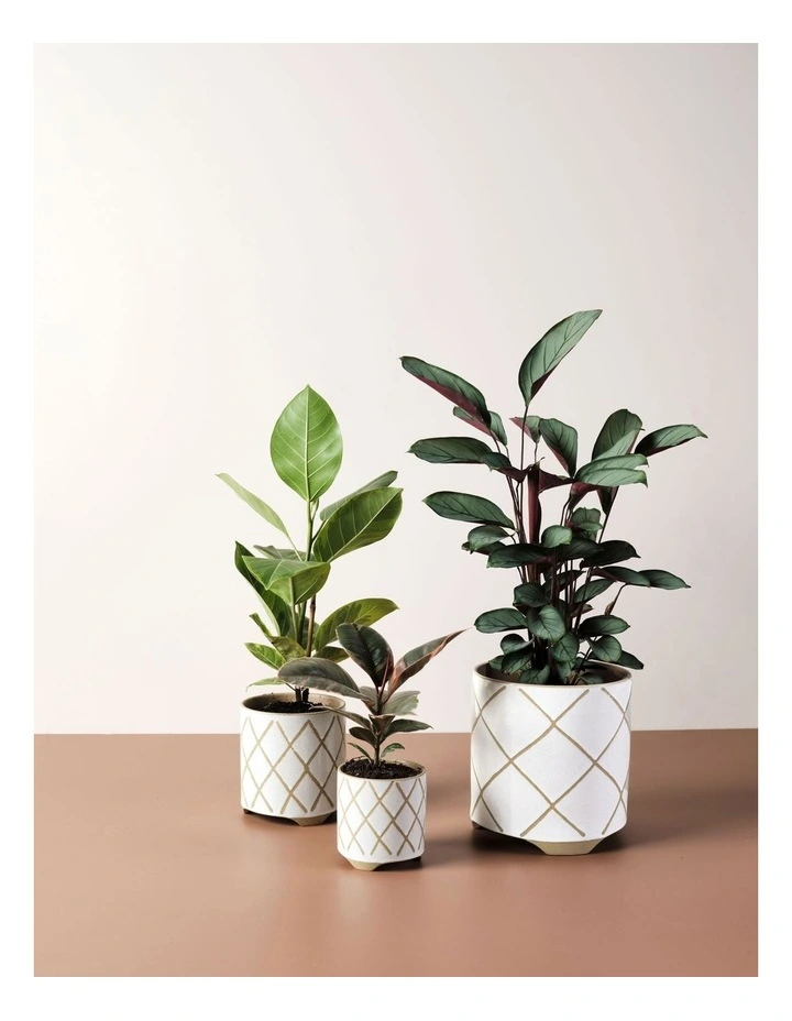 Linen House Estrada Planter Pot 12cm In White 5 Linen House Estrada Planter Pot 12cm In White - Image 3
