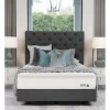 Cocoon Gold Poised Firm 2 Mattress In White
