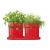 Olive Herb Set In Red -Household Items Shop 897213880 1 720x928