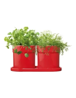 Olive Herb Set In Red
