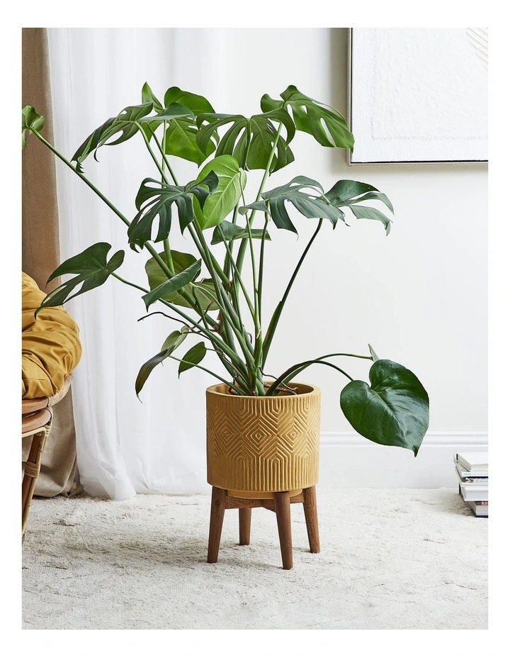 Marella 36.5x26x26cm Planter Pot On Wooden Stand Small In Brown 4 Marella 36.5x26x26cm Planter Pot On Wooden Stand Small In Brown - Image 2