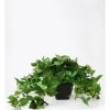 Ivy Artificial Plant In Black Pot 76x58x58cm -Household Items Shop 898191820 1 720x928