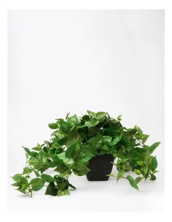 Ivy Artificial Plant In Black Pot 76x58x58cm