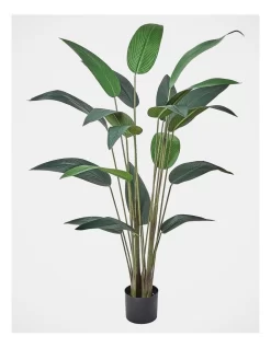 Giant Birds Of Paradise Artificial Plant 160cm In Green