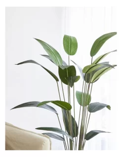 Giant Birds Of Paradise Artificial Plant 160cm In Green -Household Items Shop 898192000 3 720x928