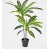 Dracaena Artificial Plant In Black Pot 60cm In Green -Household Items Shop 898192180 1 1 720x928