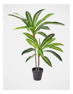 Dracaena Artificial Plant In Black Pot 60cm In Green