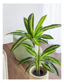 Dracaena Artificial Plant In Black Pot 60cm In Green -Household Items Shop 898192180 3 720x928