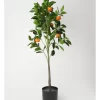 Heritage Orange Tree 30.48x30.48x106.68cm
