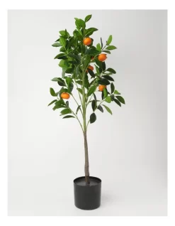 Heritage Orange Tree 30.48x30.48x106.68cm