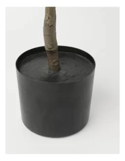 Heritage Orange Tree 30.48x30.48x106.68cm -Household Items Shop 898364710 3 720x928