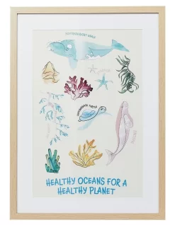 Healthy Oceans Framed Print A2 44.6x62cm