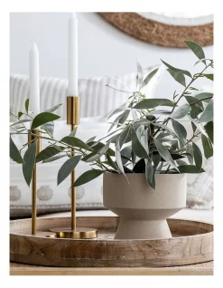 Cleo Stone Ceramic Planter Short D16xH14cm Beige -Household Items Shop 914285620 3 720x928