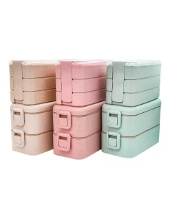6 Pack Bento Boxes 3 Large 2 Tiered 3 Smaller 3 Tiered