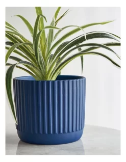 Dakota Ribbed Terracotta Planter Pot 14cm In Navy 7 Dakota Ribbed Terracotta Planter Pot 14cm In Navy -Household Items Shop 919758610 3 720x928