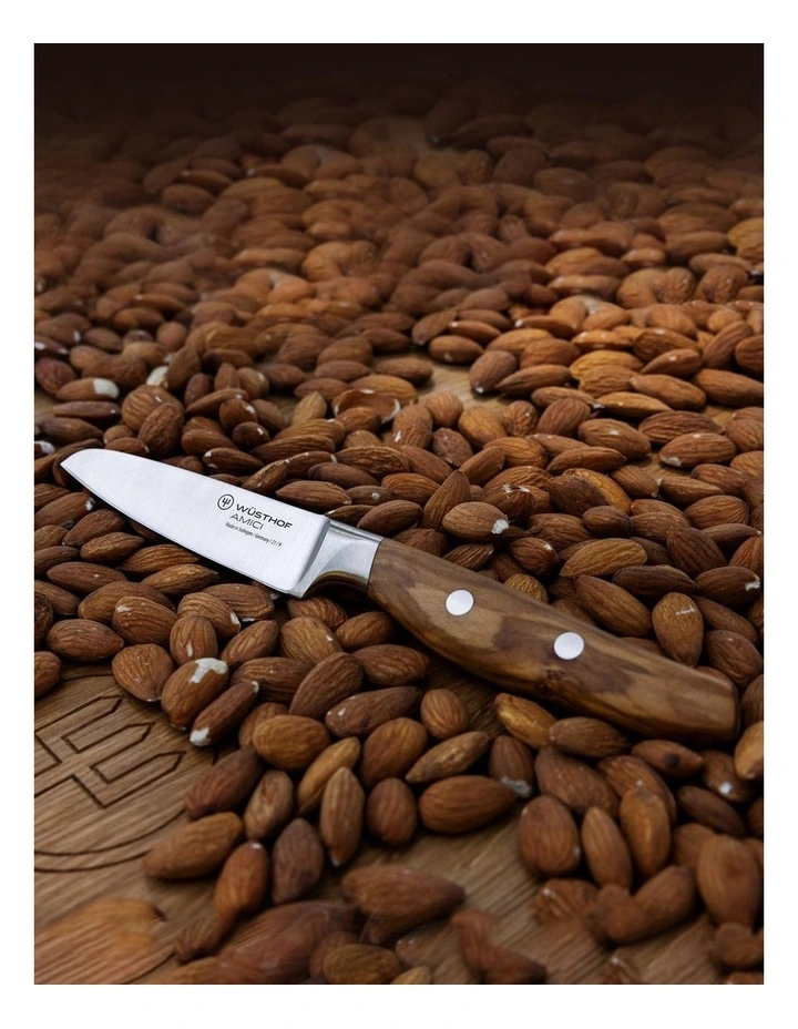 Wusthof Amici Paring Knife 9cm 4 Wusthof Amici Paring Knife 9cm - Image 2