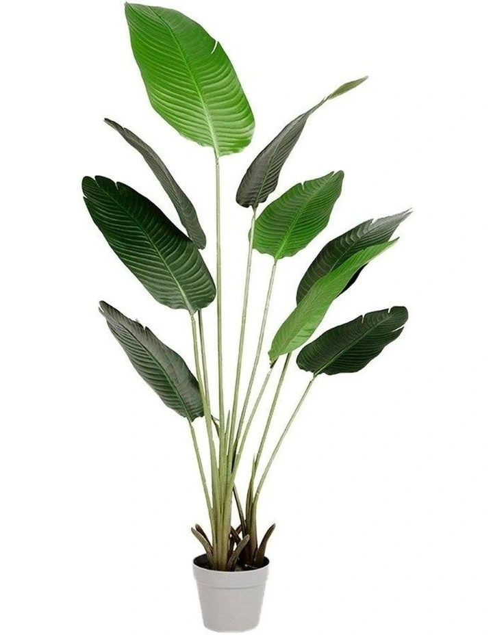 Bird Of Paradise Artificial Plant 160cm 3 Bird Of Paradise Artificial Plant 160cm