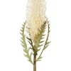 Dried Look Banksia Stem 75cm In Cream 2 Dried Look Banksia Stem 75cm In Cream -Household Items Shop 943235290 1 720x928