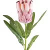 Protea Bud With Leaves 55cm In Dark Pink -Household Items Shop 943238620 1 720x928