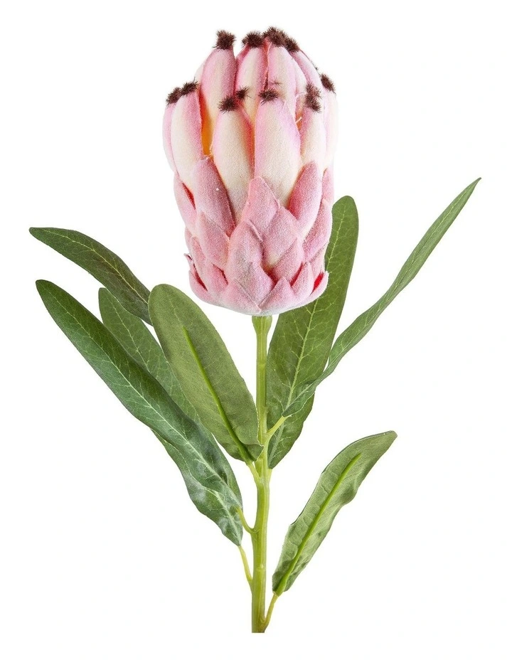 Protea Bud With Leaves 55cm In Dark Pink 3 Protea Bud With Leaves 55cm In Dark Pink
