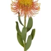 Pincushion Flower Stem 58cm In Orange -Household Items Shop 943238800 1 720x928
