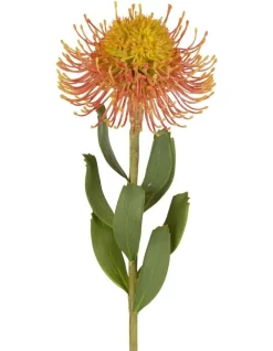 Pincushion Flower Stem 58cm In Orange