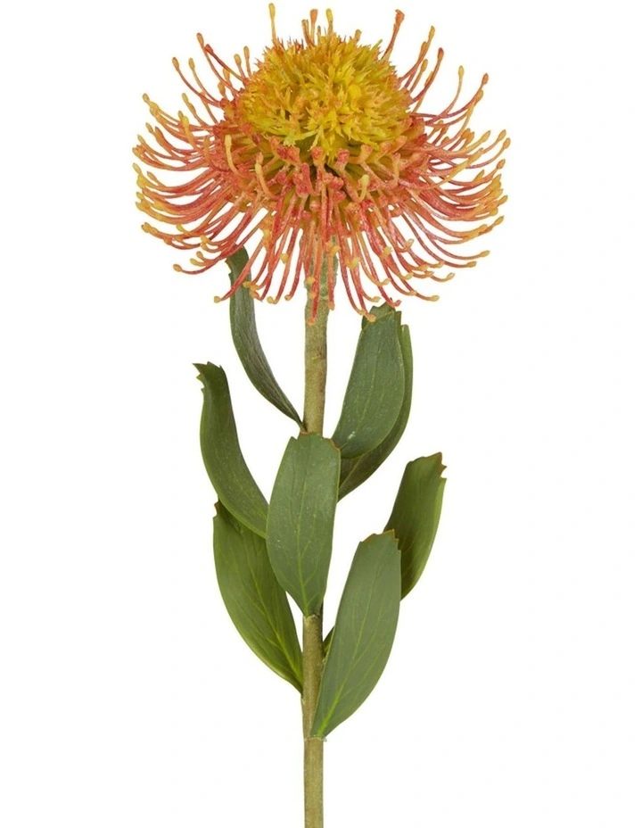 Pincushion Flower Stem 58cm In Orange 3 Pincushion Flower Stem 58cm In Orange