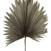 Preserved Palm Leaf In Grey