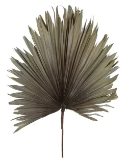 Preserved Palm Leaf In Grey
