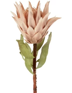 Dried Look Protea Stem 75cm In Blush