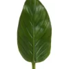 Colocasia Leaf 48cm In Green -Household Items Shop 943240150 1 720x928