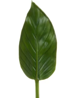 Colocasia Leaf 48cm In Green