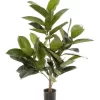 Rubber Plant Tree 96cm -Household Items Shop 943241050 1 720x928